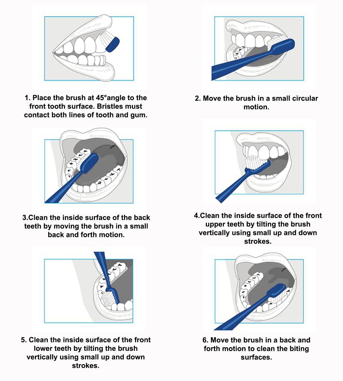 Bass technique modified Tooth brushing